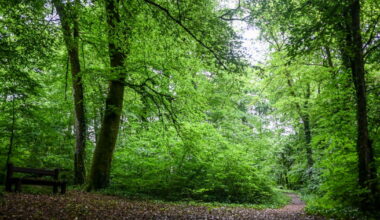 un an de prison ferme pour un trio d’agresseurs