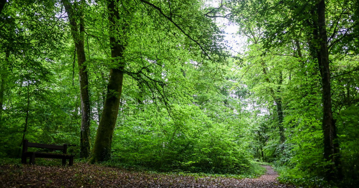 un an de prison ferme pour un trio d’agresseurs