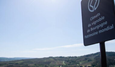 une publicité radio déclenche la colère de la filière viticole bourguignonne