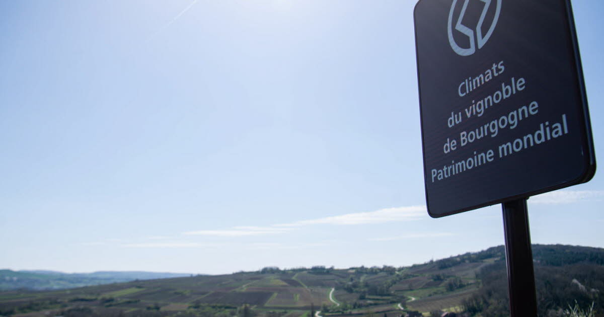 une publicité radio déclenche la colère de la filière viticole bourguignonne