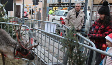 Gap. Les rennes du père Noël ont fait une apparition au marché