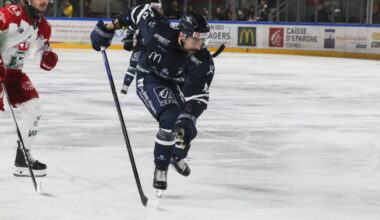 Hockey sur glace - Ligue Magnus. Grenoble domine Angers, Gap enchaîne... tous les résultats de la 27e journée