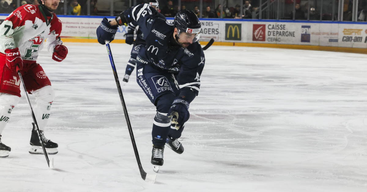 Hockey sur glace - Ligue Magnus. Grenoble domine Angers, Gap enchaîne... tous les résultats de la 27e journée