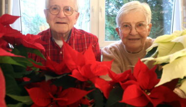 Horticulture. Strasbourg, berceau français oublié de l’étoile de Noël