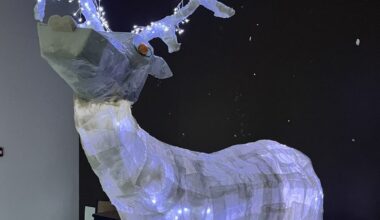 Essey-lès-Nancy. Un renne géant conçu par les habitants pour décorer leur quartier