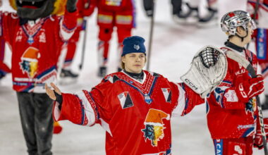 Hockey sur glace - Ligue Magnus. Un défenseur formé aux États-Unis débarque chez les Brûleurs de loups