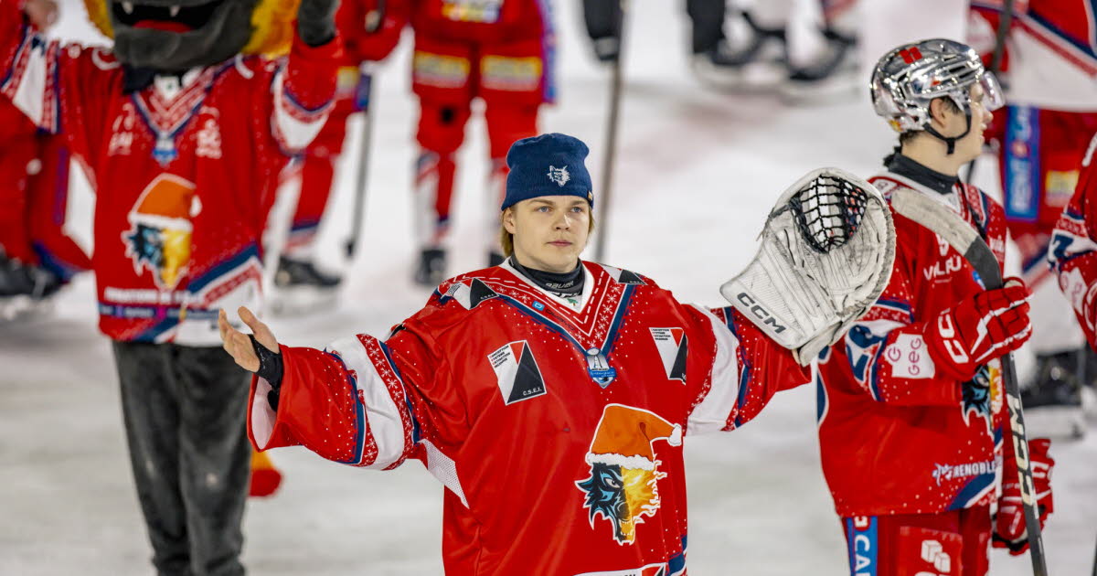 Hockey sur glace - Ligue Magnus. Un défenseur formé aux États-Unis débarque chez les Brûleurs de loups