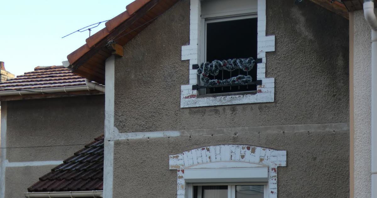 Meurthe-et-Moselle. Un chien meurt intoxiqué dans un incendie survenu ce matin à Frouard