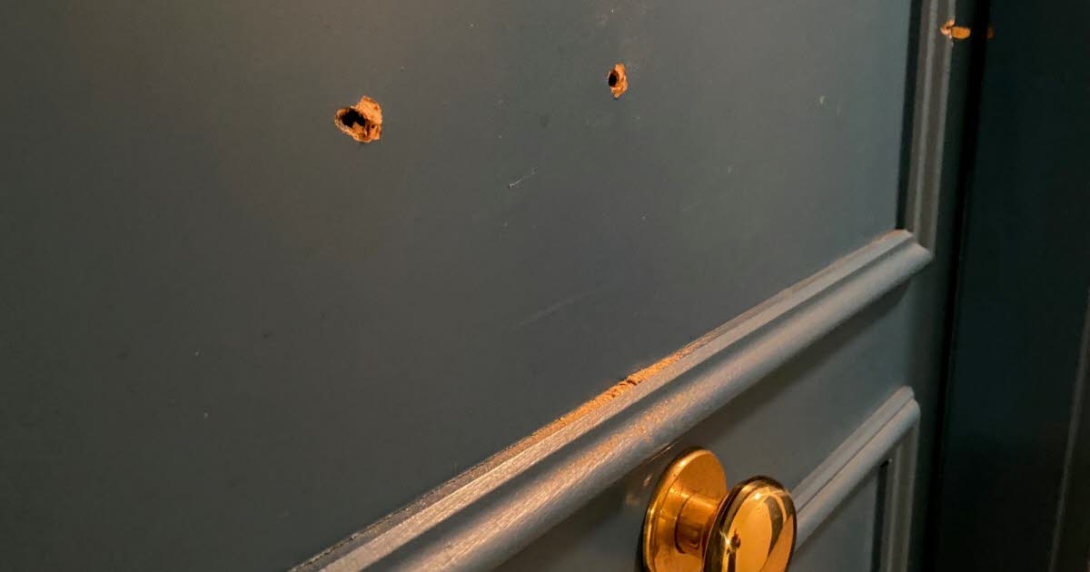 Rhône. À Lyon, des coups de feu tirés le jour de Noël sèment la terreur dans une résidence