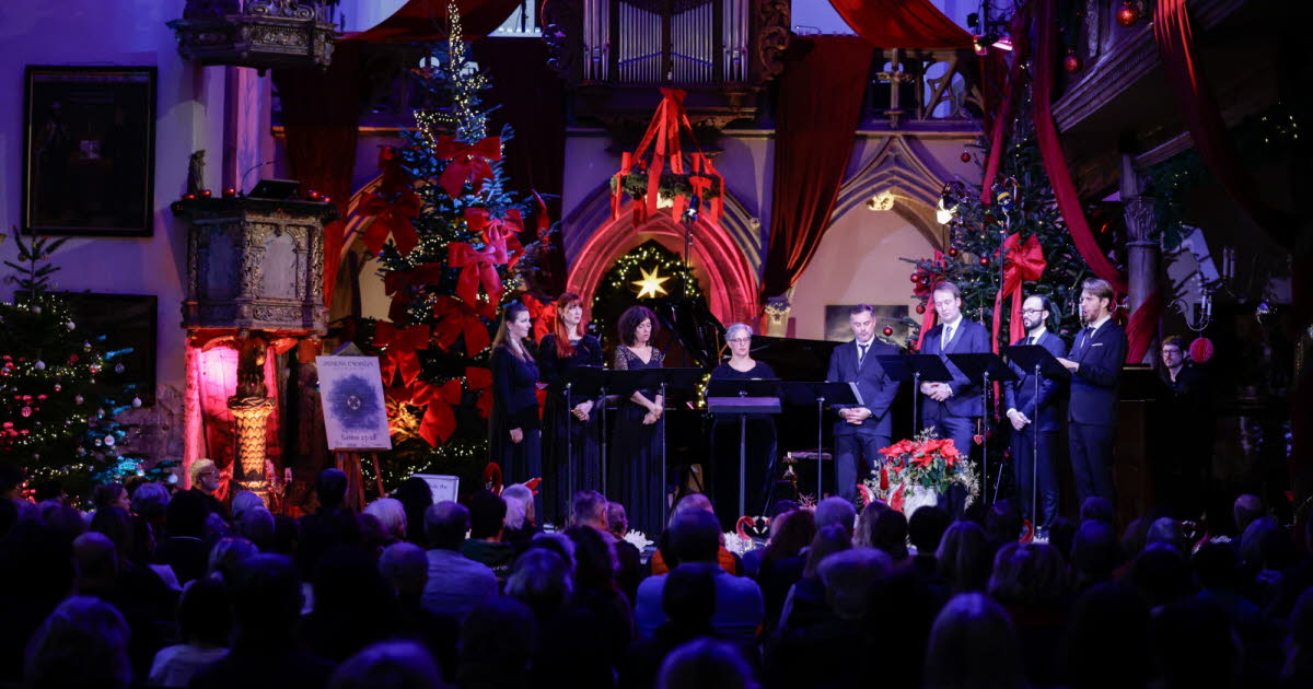 Strasbourg. Shopping, musées, Bains municipaux... dix bons plans pour ne pas s’ennuyer pendant les vacances