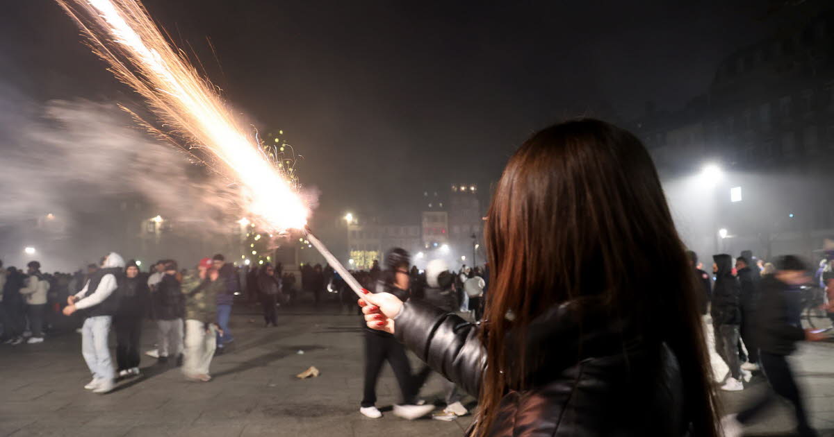 Allemagne. Pour ou contre les pétards à la Saint-Sylvestre ? Le débat est relancé