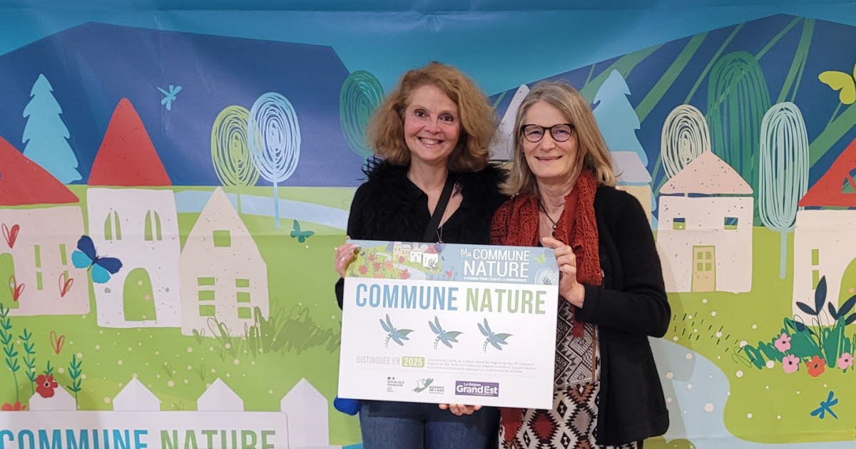 Laître-sous-Amance. 3 libellules pour la commune