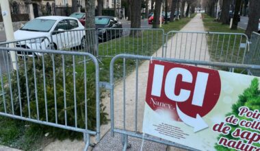 Nancy. Les neuf points de collecte de sapins sont opérationnels