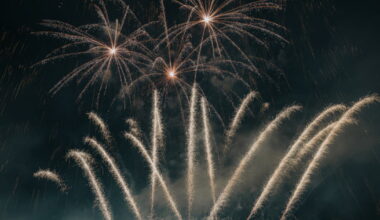 quelles animations pour la nuit du Nouvel An à Grenoble et autour ?