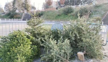 Frouard. Recyclage des sapins de Noël