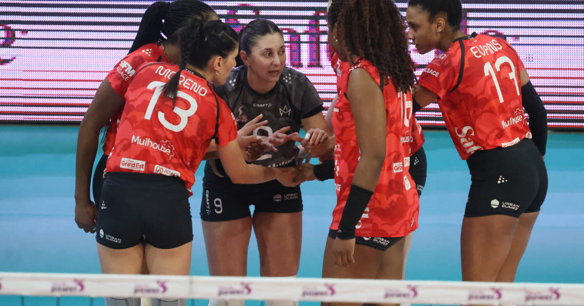 « On n’a pas craqué et on a gagné »... Le Volley Mulhouse Alsace reste invincible - L'Alsace