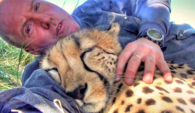 Ce photographe animalier ne s’attendait pas à vivre une telle rencontre en Afrique du Sud