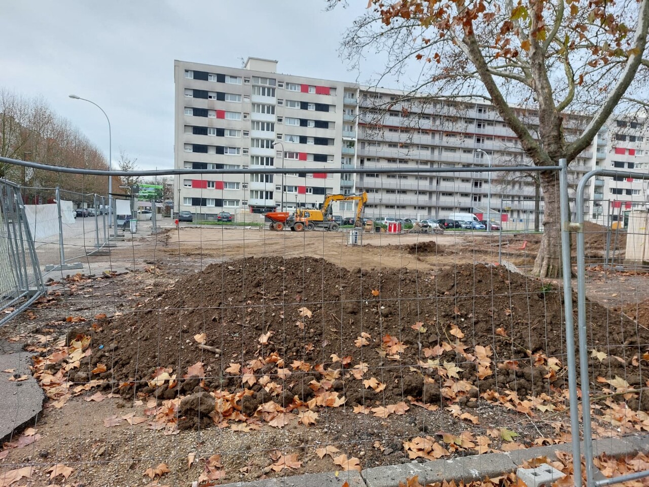 voici ce qu'elle va devenir