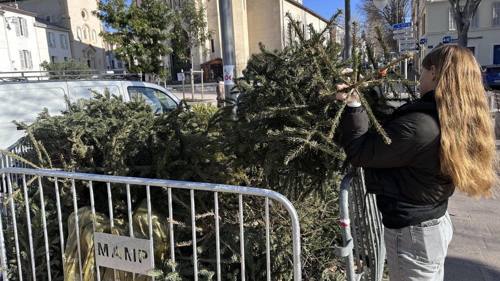 Où déposer son sapin de Noël après les fêtes à Marseille et ses alentours ?