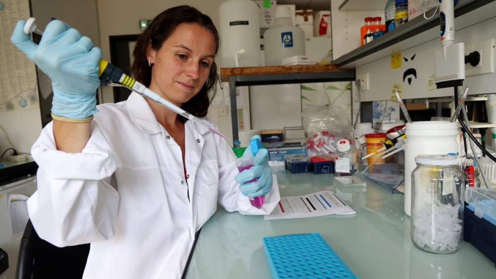 La neuroscientifique marseillaise Réjane Rua lauréate d'un prestigieux financement européen