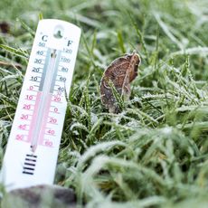 Getty Images/iStockphoto