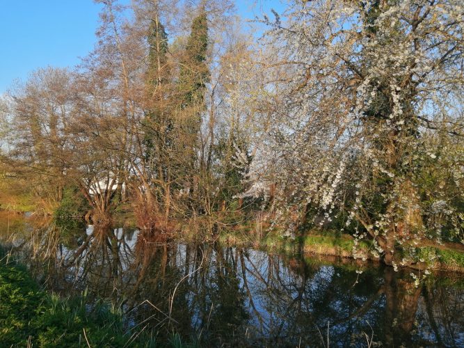 Canal_Bruche_Printemps_8