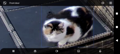 Reolink Duo 3 WiFi Capture alertes (30) Reolink Duo 3 WiFi Capture alertes (30)