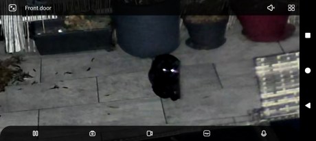 Reolink Duo 3 WiFi Capture alertes (8) Reolink Duo 3 WiFi Capture alertes (8)