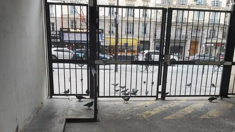 Les pigeons sont nourris dans la rue et finissent par créer une gêne, estime le gardien de cet immeuble du 14e arrondissement de Paris.