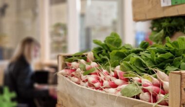 on vous présente ce futur marché