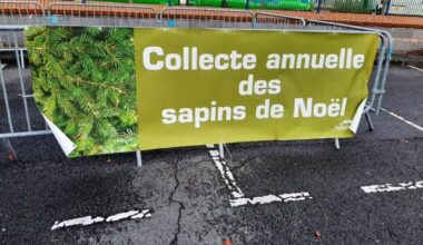 Après Noël, où jeter son sapin à Toulouse et dans la métropole ?
