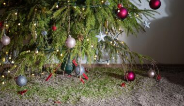 Une fois Noël passé, il faut se résoudre à jeter son sapin.