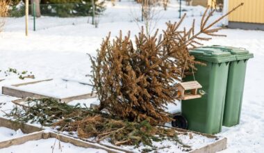 cette erreur dangereuse après les fêtes et les idées méconnues pour lui donner une vraie seconde vie