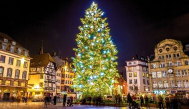 Le sapin de Noël de Strasbourg classé parmi les plus beaux du monde en 2025