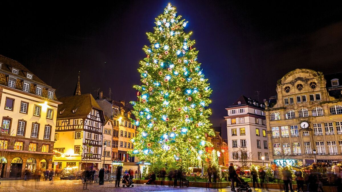 Le sapin de Noël de Strasbourg classé parmi les plus beaux du monde en 2025