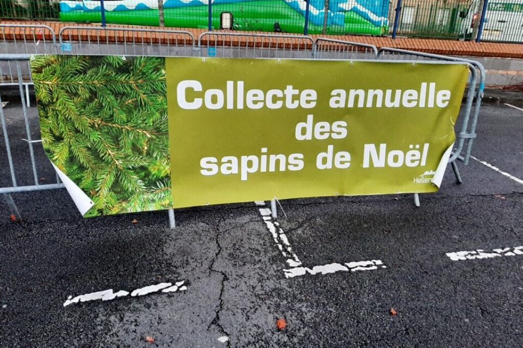 Après Noël, où jeter son sapin à Toulouse et dans la métropole ?