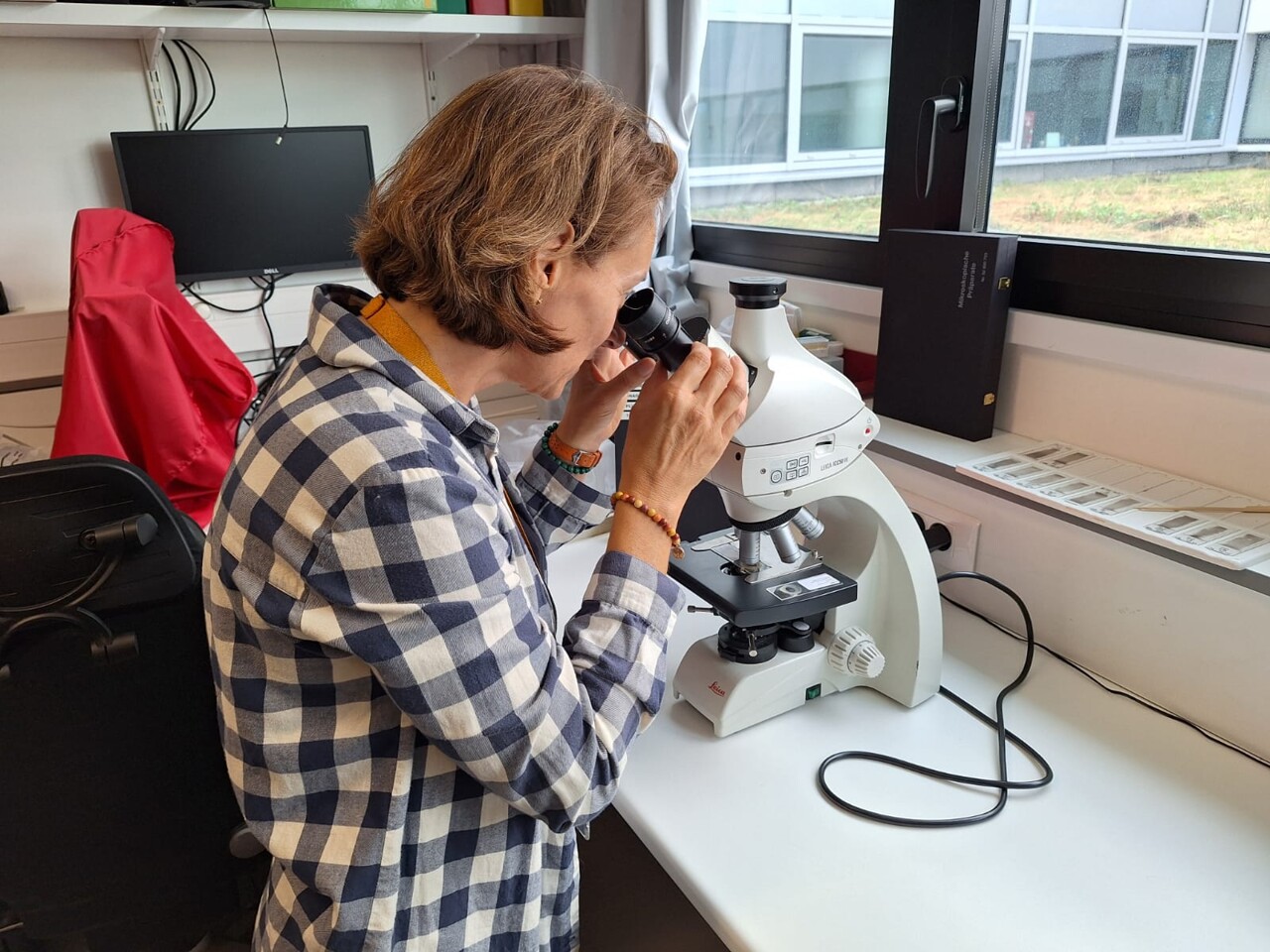 Freinées par les coupes budgétaires de l'administration Trump, cinq chercheuses accueillies à Toulouse