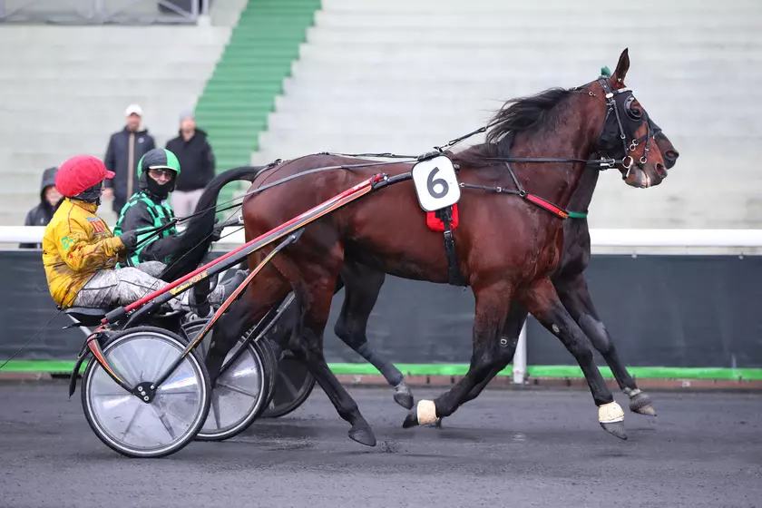 Quinté+: Quinté+ du samedi 13 décembre à Vincennes : Dolce Viky a des références