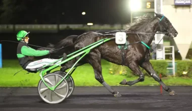 Quinté+: Quinté+ du vendredi 12 décembre à Vincennes : Iris Intense peut refaire parler de lui
