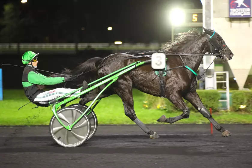 Quinté+: Quinté+ du vendredi 12 décembre à Vincennes : Iris Intense peut refaire parler de lui