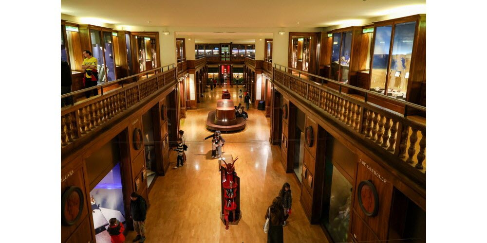 Septembre. 250 bougies pour le Muséum de Grenoble. Si 2 000 objets et spécimens sont exposés dans les salles du Muséum de Grenoble, ce sont au total environ 3 millions d’entités qui sont conservées dans les réserves de cette institution qui a fêté ses 250 ans. Avec une fréquentation en hausse de 24 % (95 820 visiteurs), le muséum reste l’un des lieux préférés des familles.