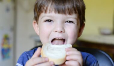 le meilleur fromage à tartiner pour enfants est...
