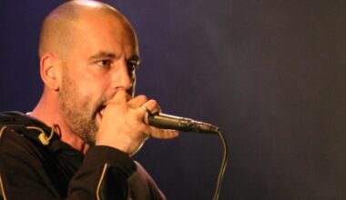 Rest in Zik, le festival hip-hop tient sa place