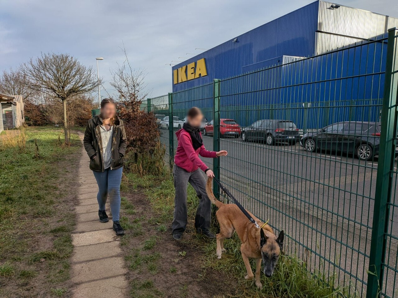 Les bénévoles décrient la localisation de la SPA de Strasbourg, la Ville promet une amélioration du quartier