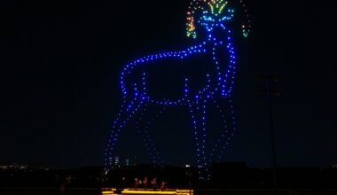 Près de Lyon. Un immense spectacle de drones avec concert bientôt organisé dans ce lieu
