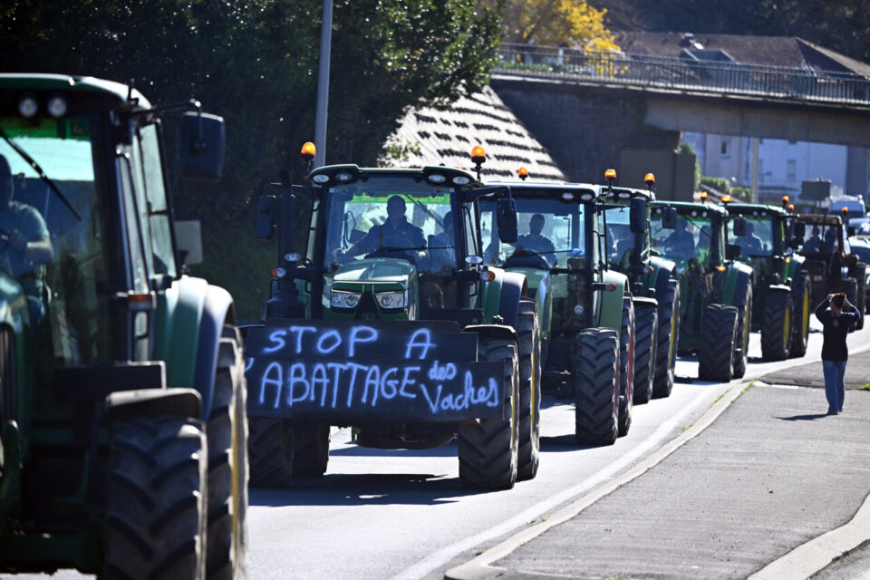 Une manifestation à Saint-Jean de Luz, ce dimanche.
