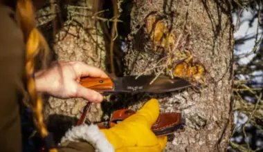 Stage de survie près de Strasbourg (67), Aventure Ingwiller : date, horaires, tarifs