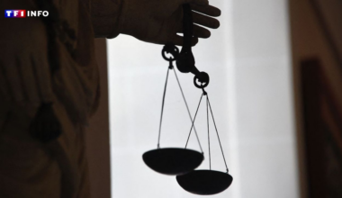 "Des faits gravissimes" : une éducatrice filmée en train de tondre un enfant de 8 ans dans un foyer à Paris