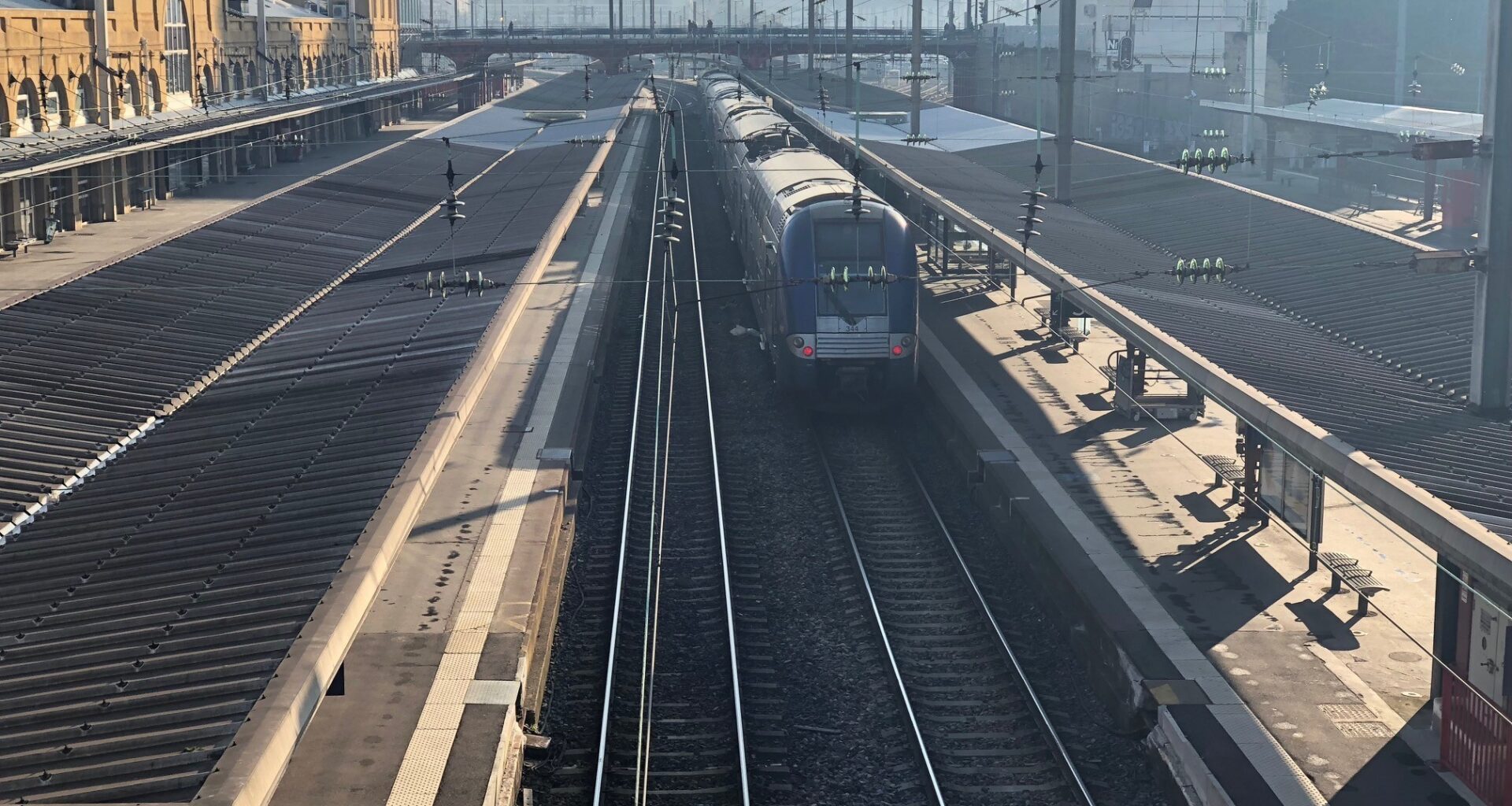 SNCF. La circulation des trains interrompue entre Nancy et Épinal après la chute d'un arbre