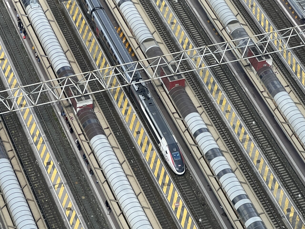 cette compagnie sortie de nulle part face à la SNCF va se lancer